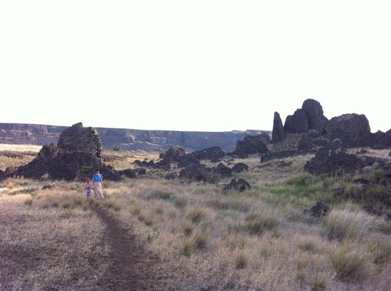 Umatilla Rock/Dry Falls State Park