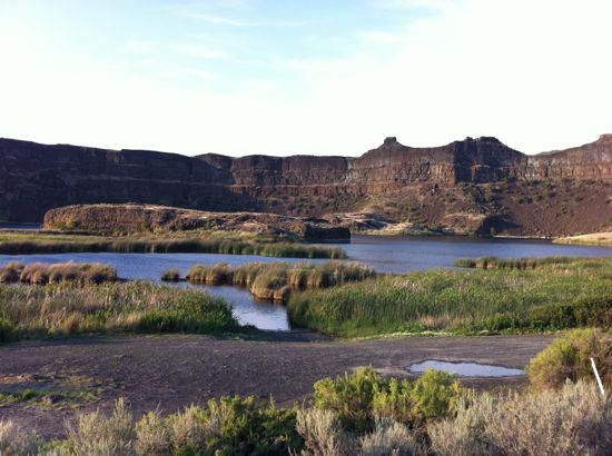 Dry Falls/Dry Falls State Park