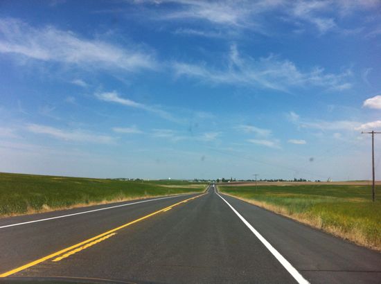 irrigated wheat fields