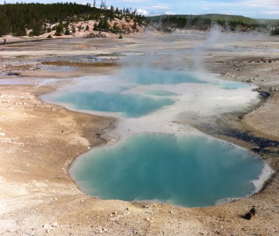 Porcelain Spring, Norris Basin