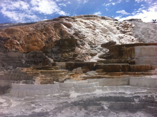 Mammoth Hot Springs