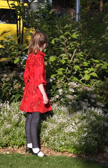 red shirt dress