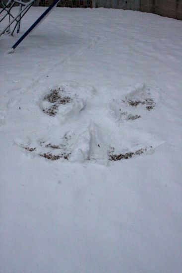 snow angel