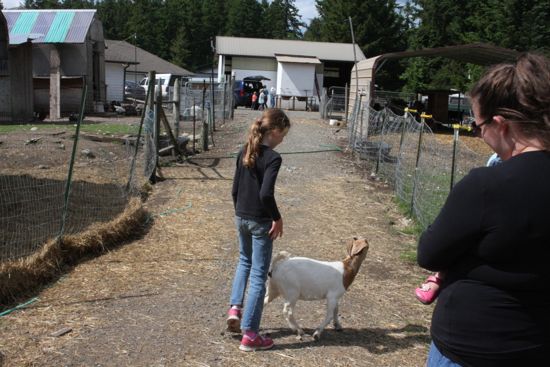 at Toboton Creek Farm