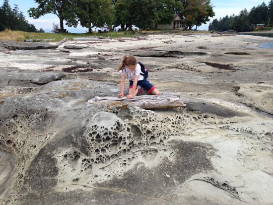 shoreline, Newcastle Island