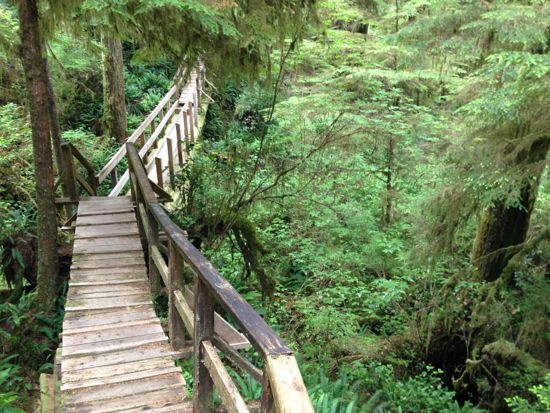 Rainforest Trail, Pacific Rim National Park