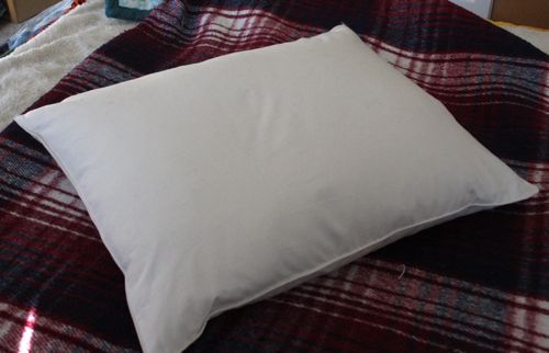 homemade pillow