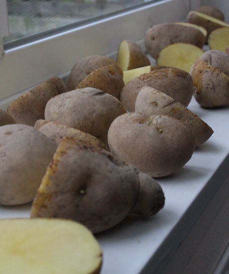 potatoes