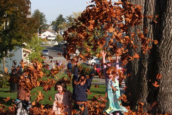 kids and leaves