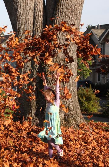 kids and leaves