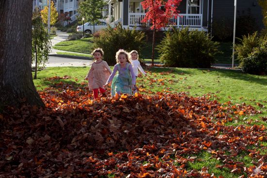 kids and leaves