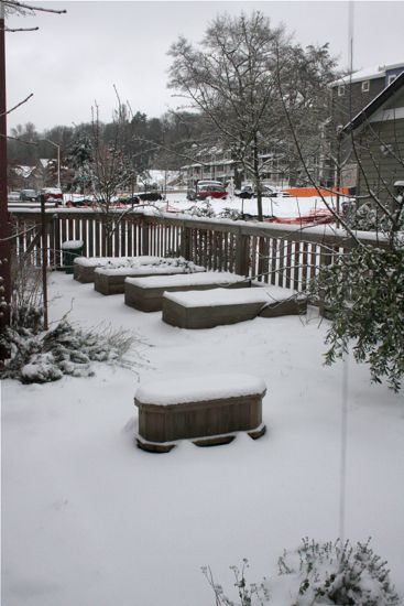 snow in the backyard