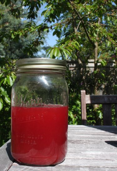 Rhubarb and Rosewater syrup
