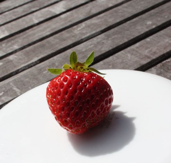 first strawberry of the year!
