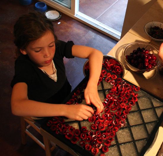 arranging cherries