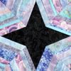 Craftsy's Block of the Month 2012