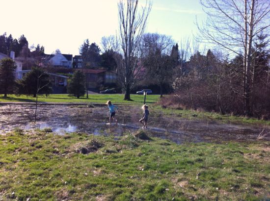 Exploring knee deep mud puddles